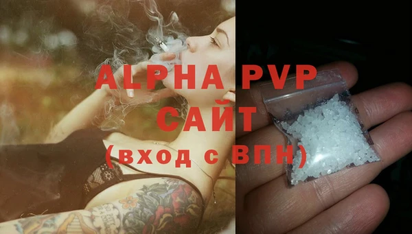 сатива Алзамай