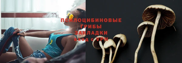 сатива Алзамай