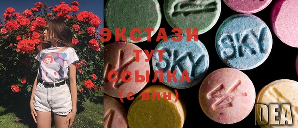 СК Каменка