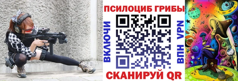 Псилоцибиновые грибы Psilocybe Бикин
